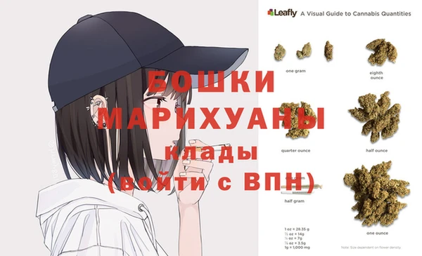 ешки Инта