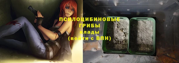 ешки Инта