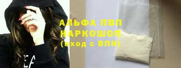 гашик Инсар