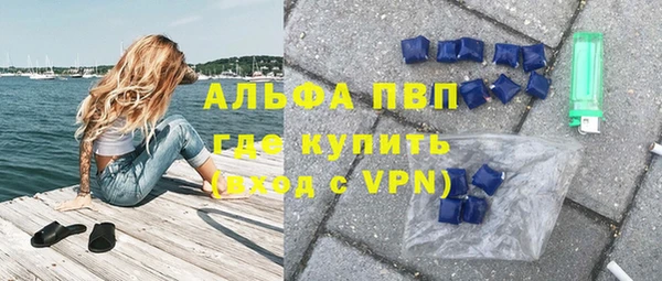 гашик Инсар