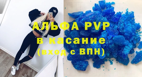 гашик Инсар