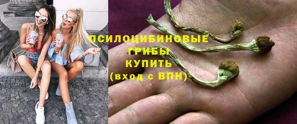 ешки Инта
