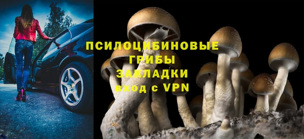 ешки Инта