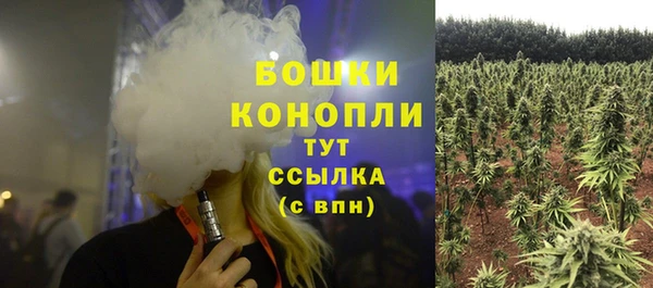 ешки Инта
