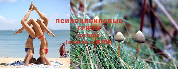 ешки Инта