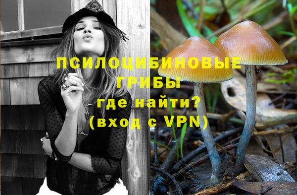 гашик Инсар