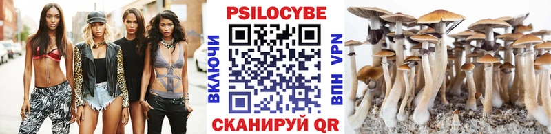 сколько стоит  Дербент  omg tor  Галлюциногенные грибы прущие грибы 
