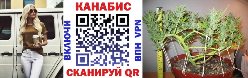 Конопля Bruce Banner  купить наркоту  Дербент 